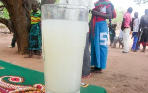 water4lifemozambique.org clean-water-charity-africa
